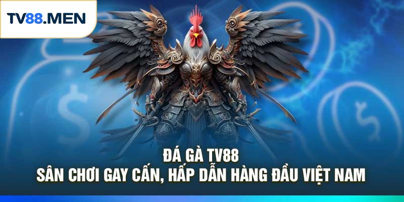 Đá Gà TV88 – Sân Chơi Gay Cấn, Hấp Dẫn Hàng Đầu Việt Nam