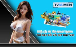 Nhà cái uy tín quan trọng thế nào đối với bet thủ TV88